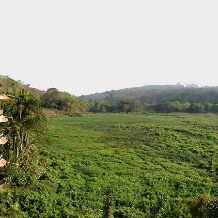 Jungle Palace Homestay Thekkady Esterno foto