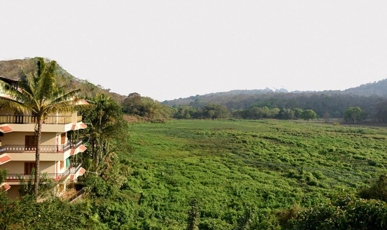 Jungle Palace Homestay Thekkady Esterno foto
