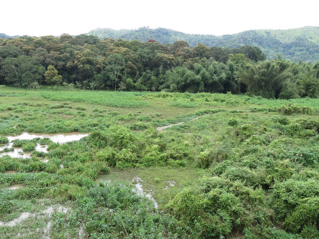 Jungle Palace Homestay Thekkady Esterno foto