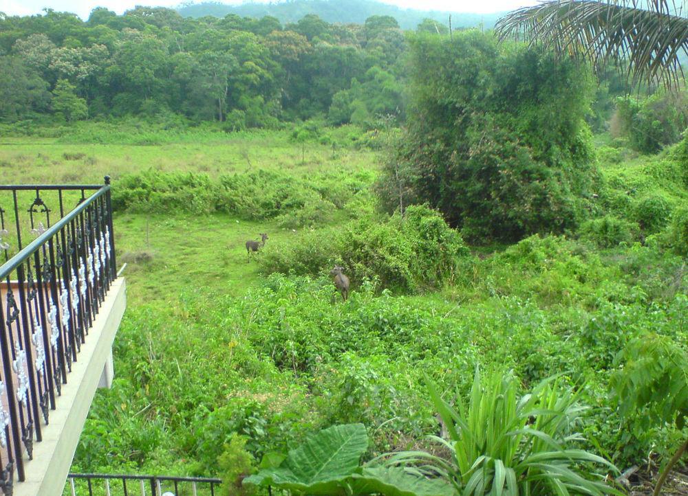 Jungle Palace Homestay Thekkady Esterno foto